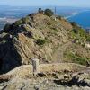 Collioure_Tour Madeloc 03