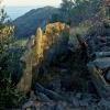 Banyuls_Dolmen du Coll de la Creu ou Gratallops 