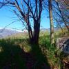 Borne 472-Canal de Camp d'Ur (Enveigt-Puicerda)