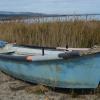 Le Barcarès_L'Ile des Pêcheurs 02
