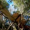 La Jonquera_Puig de les Canals au-dessus de Cantallops_Restes du crash du DC6 en 1986