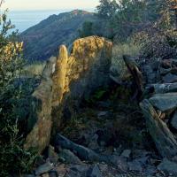 Banyuls_Dolmen du Coll de la Creu ou Gratallops