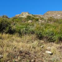 Collioure_Redoute Taillefer 01