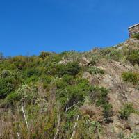 Collioure_Redoute Taillefer 01