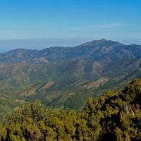 Coll de Banyuls 02