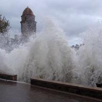 Llevants à Collioure 01