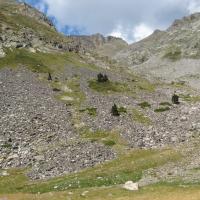 Canigou 03