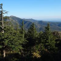 Coll de Banyuls 03