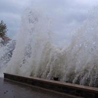 Llevants à Collioure 03