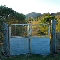 Portes de vignes 03