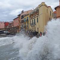 Llevants à Collioure 04