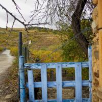 Portes de vignes 04