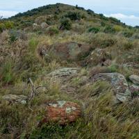 Caixas_Dolmen de la Ramera II