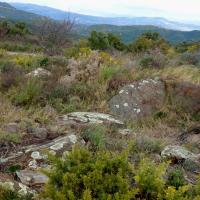 Caixas_Dolmen de la Ramera II