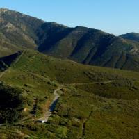Coll de Banyuls 05