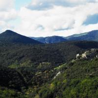 Termes_Château de Termes