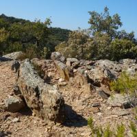 Camélas_Arques del Coll de Maure