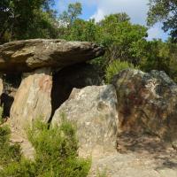 Cantallops_Dolmen del Coll de Madàs I