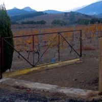 Portes de vignes 05