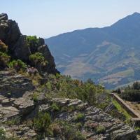 Port-Vendres_Batterie 500 02