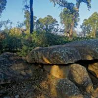 Capmany_Dolmen del Quer Afumat