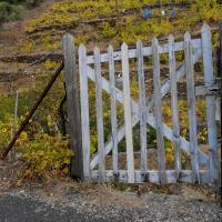 Portes de vignes 06