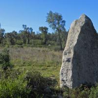 Capmany_Menhir de Quer Afumat