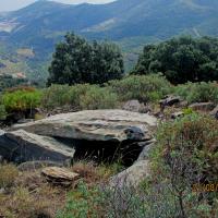 Cerbère_Dolmen du Coll de les Portes