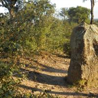 Capmany_Dolmen de Quer Afumat II