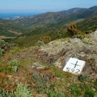 Coll de Banyuls 10 - Borne 592 (Banyuls-Rabos)