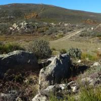 Eus_Dolmen du Roc Jalère