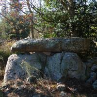 Campoussy_Dolmen du Mas Cayenne ou Cova del Misser