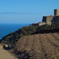 Collioure_Fort Saint-Elme 01
