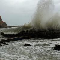 Llevants à Collioure 11