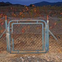 Portes de vignes 10