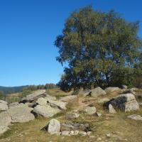 Eyne_Dolmen del Pou