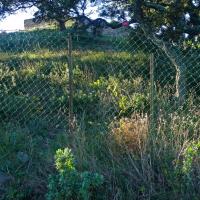 Collioure_Fort Dugommier 01