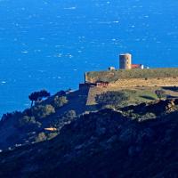Collioure_Fort Dugommier 06