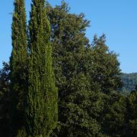 Darnius_Dolmen de Puig Caneres