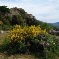 Coll de Banyuls 12