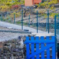 Portes de vignes 11
