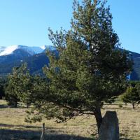 Eyne_Menhir del Coll de la Perxa IV