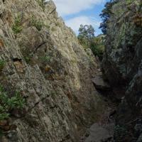 Coll de Banyuls 13