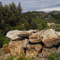 Castelnou_Dolmen du Serrat d'en Gely ou Roc del Llamp