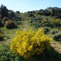 Coll de Banyuls 14
