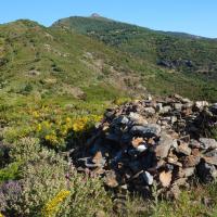 Coll de Banyuls 15