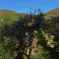 Montalba-le-Château_Pilo de la Llausa