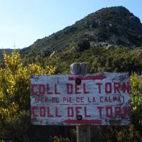 Coll de Banyuls 16