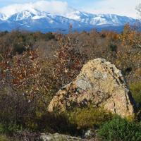 Montesquieu-des-Albères_Dolmen del Quadro