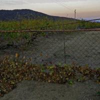 Portes de vignes 16